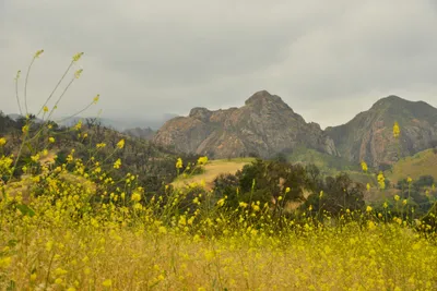 DSC_6518 (Large).JPG